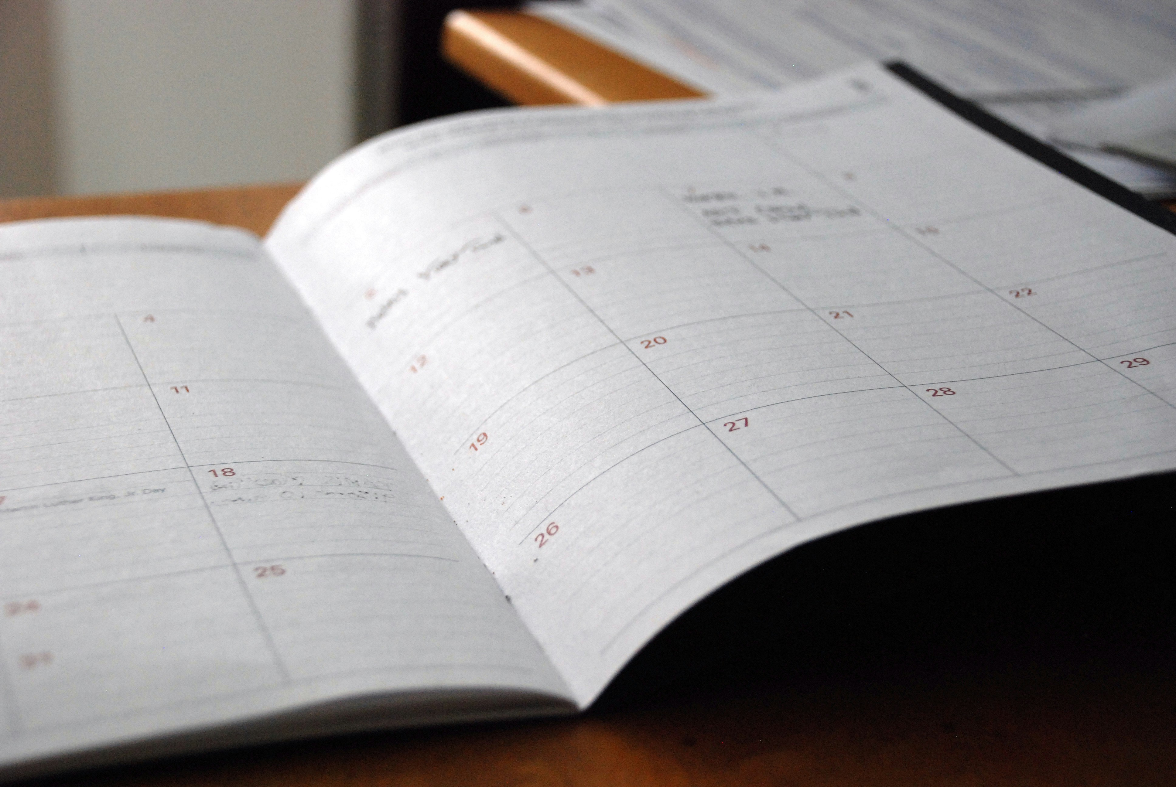 ¡El Programa de Actividades ya está disponible!